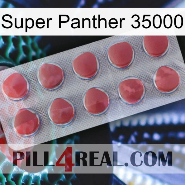 Super Panther 35000 18.jpg